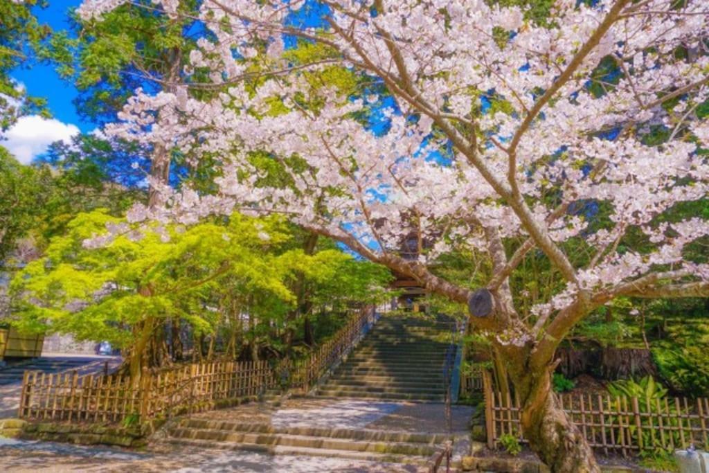 甘糟屋敷 Amakasu Yashiki Kamakura Villa Exteriör bild