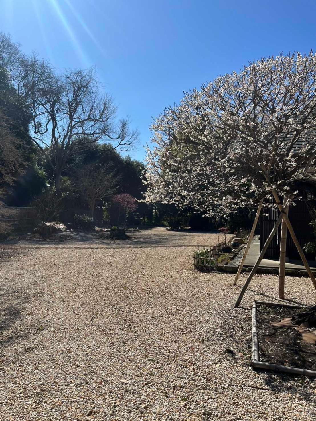 甘糟屋敷 Amakasu Yashiki Kamakura Villa Exteriör bild